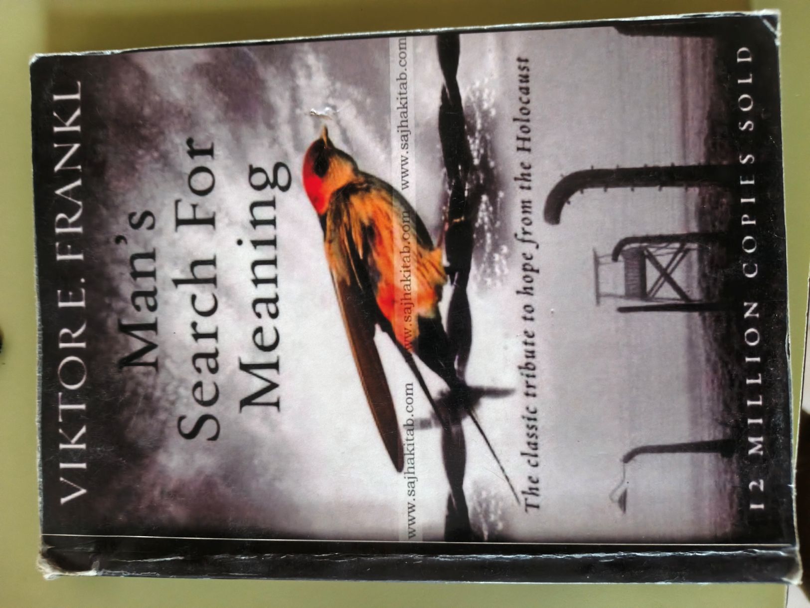 Man's Search for Meaning